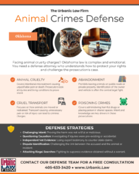 oklahoma animal crimes infographic