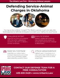 service animal crimes defense infographic