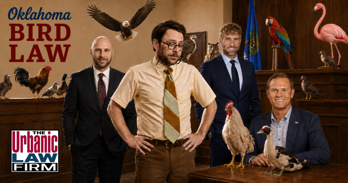 Oklahoma bird law courtroom image with attorneys from The Urbanic Law Firm surrounded by birds, representing Oklahoma criminal defense for bird-related charges.